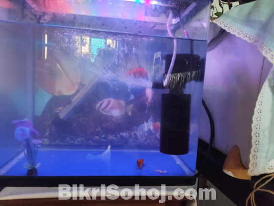 ১৬:৯ ওয়াইডস্ক্রিন চায়না একুরিয়াম